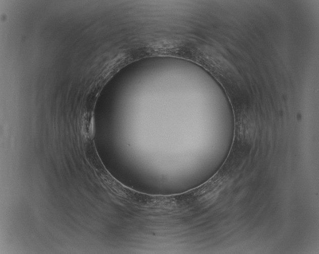 X0000068761346200605010951