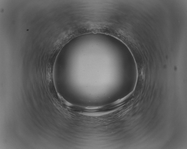 X0000068761348200605010951