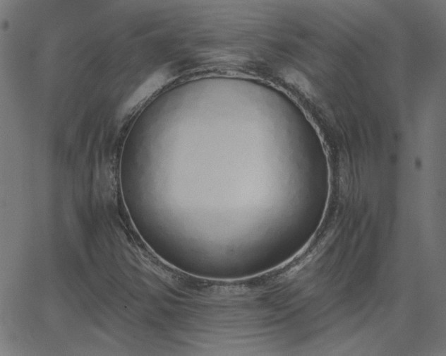 X0000068761354200605010951