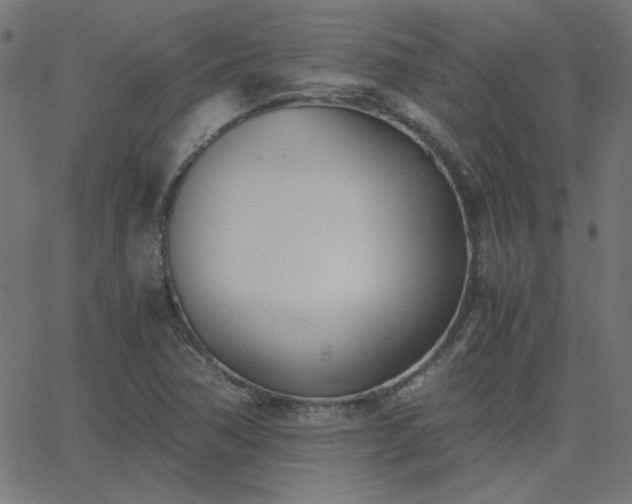 X0000068761362200605010951