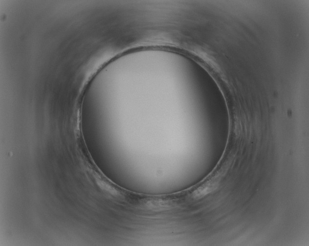 X0000068761366200605010951
