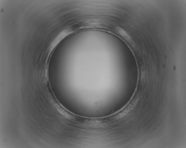 X0000068761370200605010951