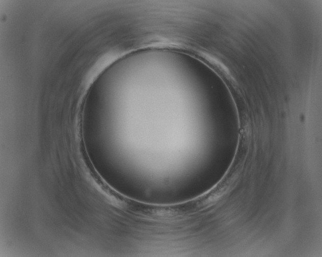 X0000068761375200605010951