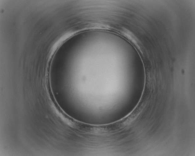 X0000068761379200605010951