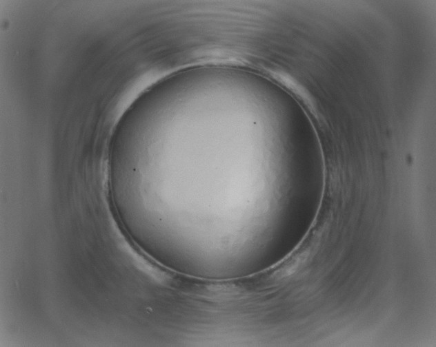 X0000068761383200605010951