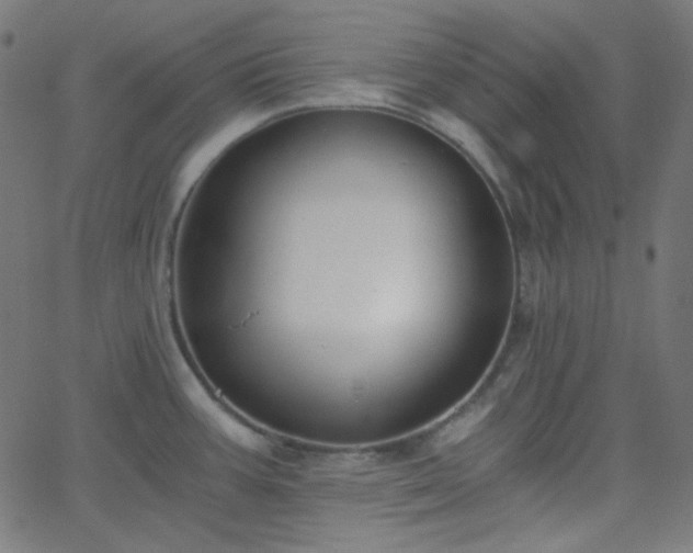 X0000068761387200605010951