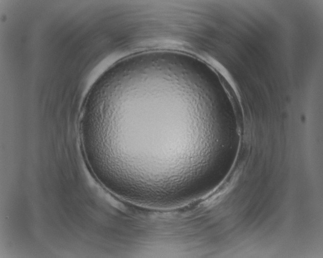 X0000068761389200605010951