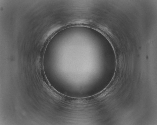X0000068761404200605010950