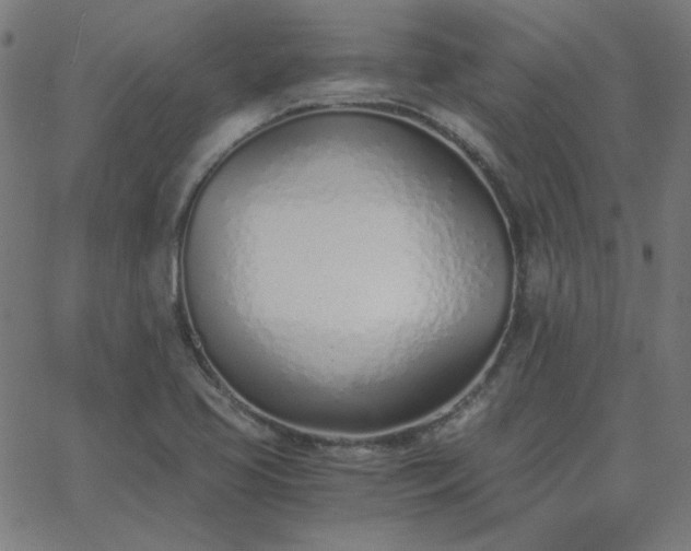 X0000068761413200605010950