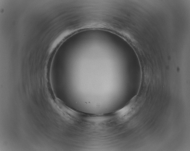 X0000068761422200605010950