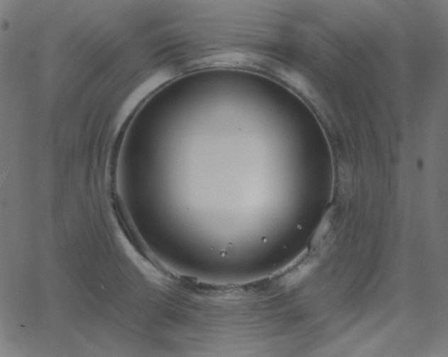 X0000068761426200605010950
