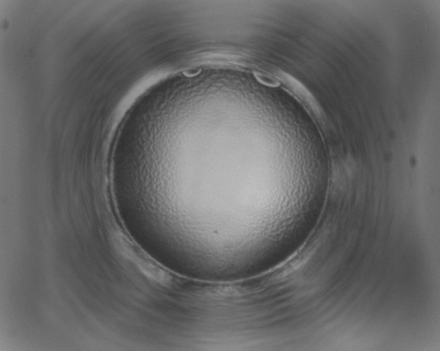 X0000068761435200605010950