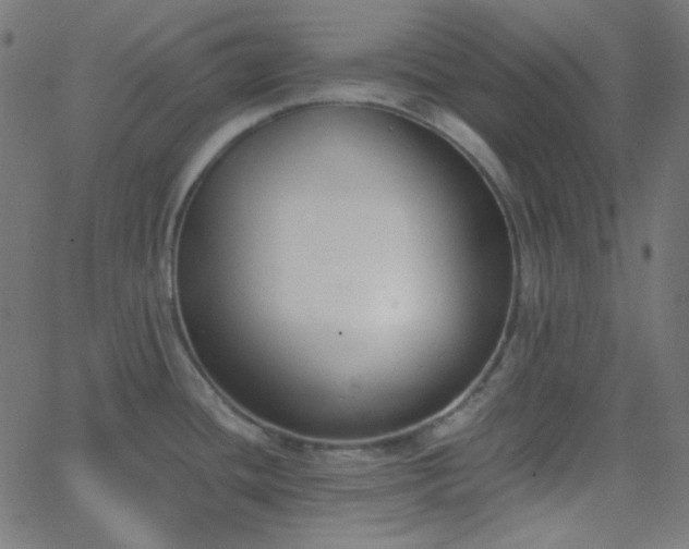 X0000068761436200605010950