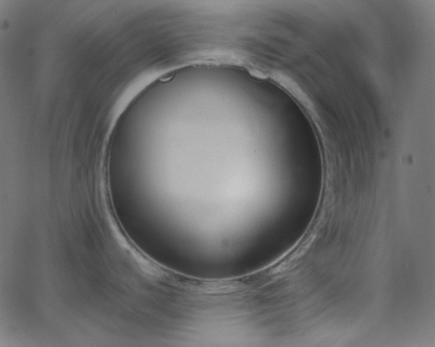 X0000068761440200605010950