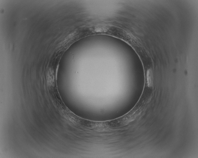 X0000068761443200605010950