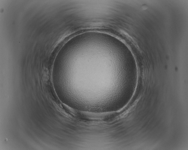 X0000068761449200605010949