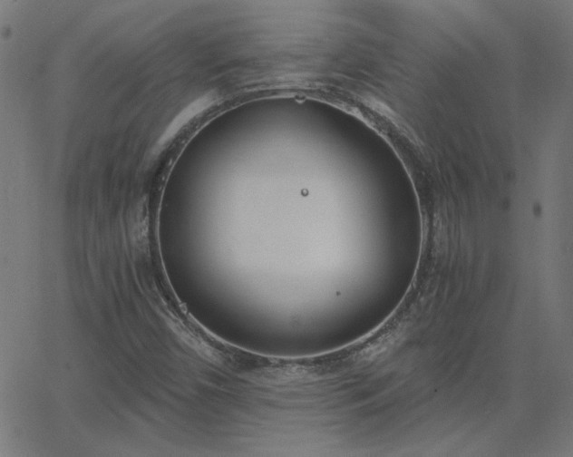 X0000068761450200605010949