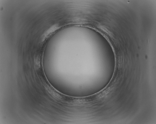 X0000068761451200605010949