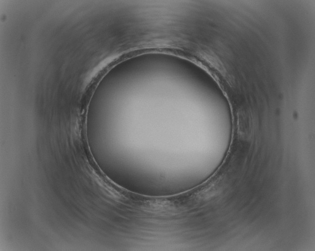 X0000068761452200605010949