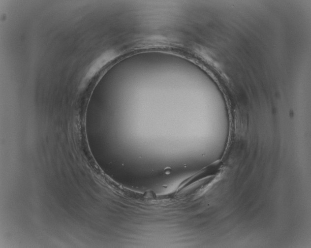 X0000068761453200605010949