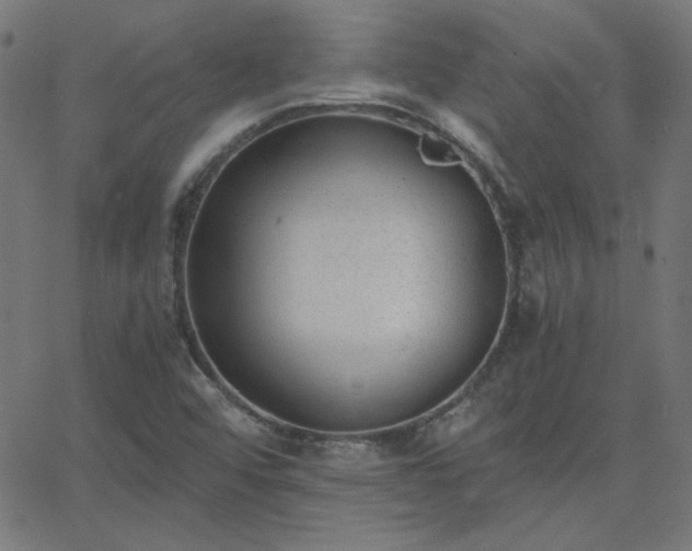 X0000068761456200605010949