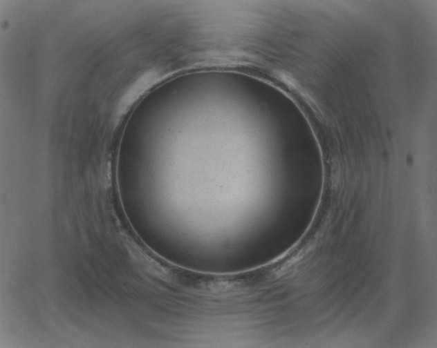 X0000068761459200605010949