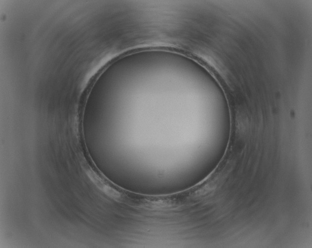 X0000068761460200605010949