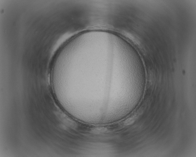 X0000068761462200605010949