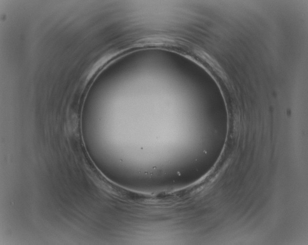 X0000068761465200605010949