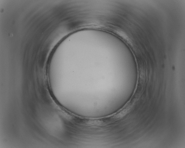 X0000068761466200605010949