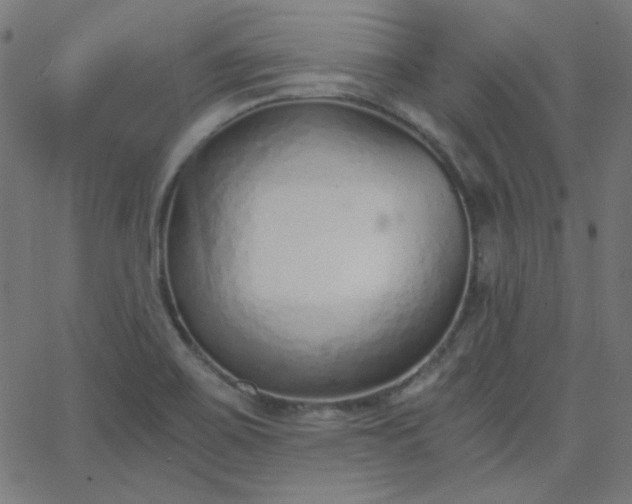 X0000068761467200605010949