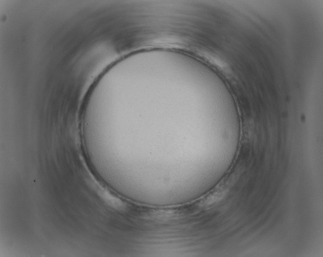 X0000068761470200605010949