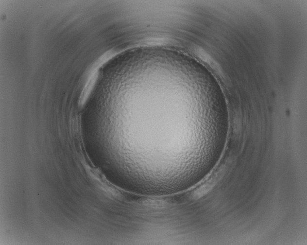 X0000068761473200605010949