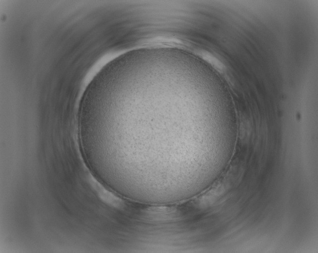 X0000068761478200605010949