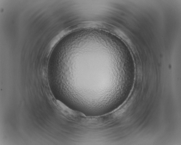 X0000068761481200605010949