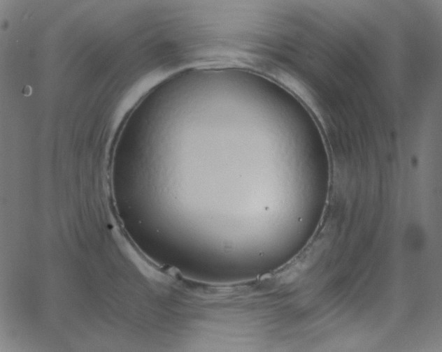 X0000068761485200605010949