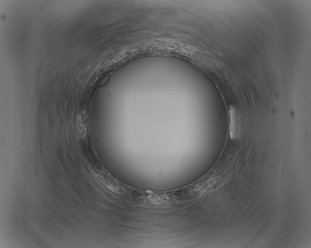 X0000068761491200605010948