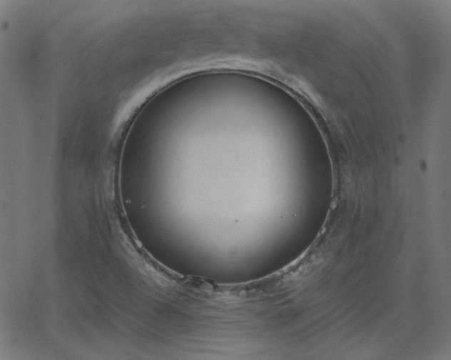 X0000068761504200605010948
