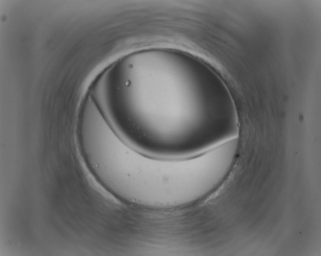 X0000068761518200605010949