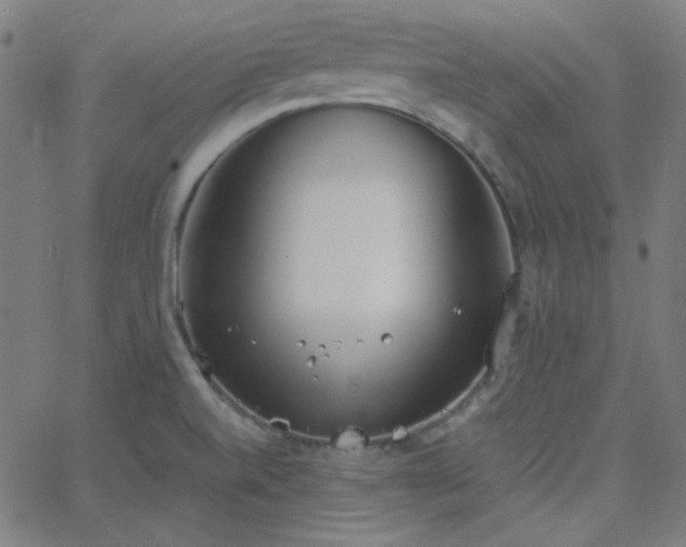 X0000068761520200605010949