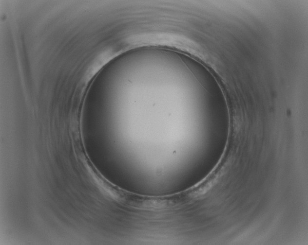 X0000068761521200605010949