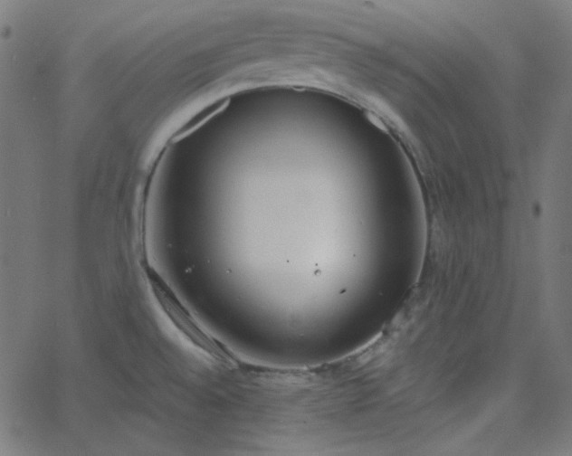 X0000068761528200605010949