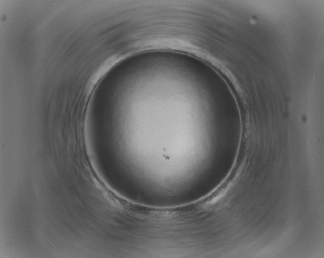 X0000068761529200605010949