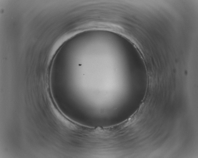 X0000068761531200605010949