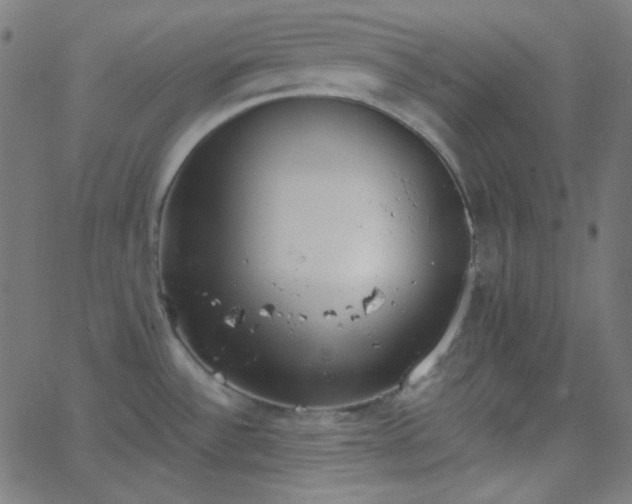 X0000068761532200605010949