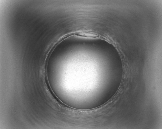 X0000068760002200605051618