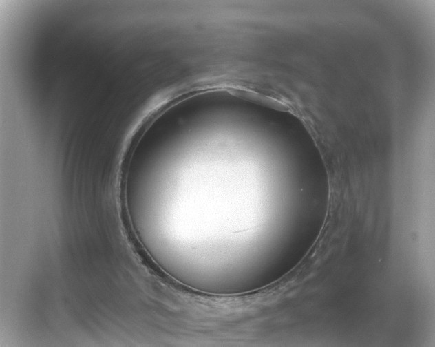 X0000068760006200605051618