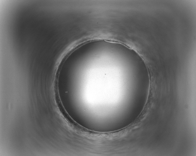 X0000068760007200605051618