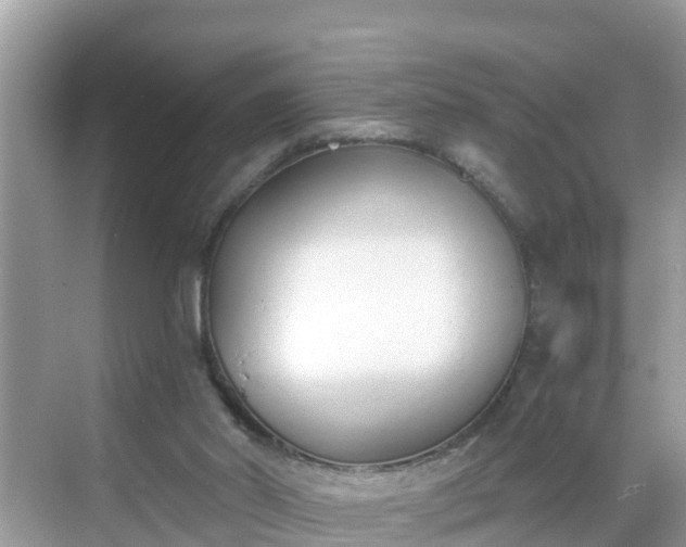 X0000068760014200605051617