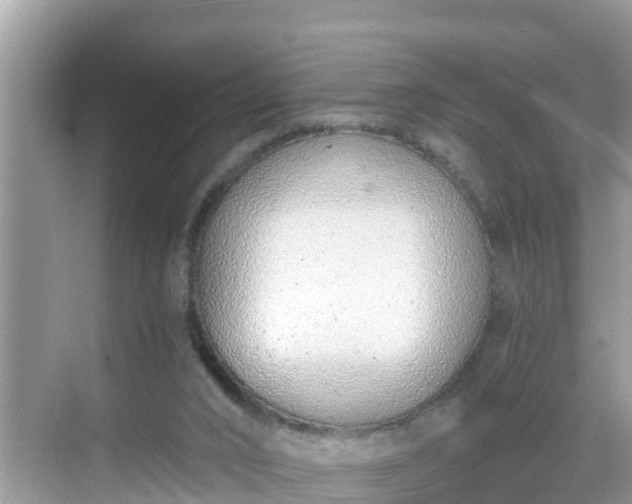 X0000068760016200605051617